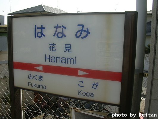 Ԍw